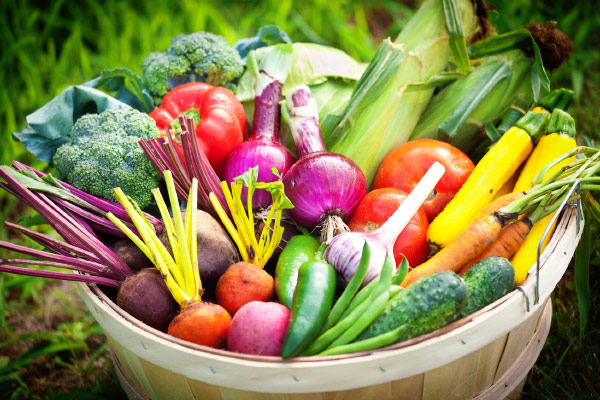 Basket of fresh vegetables