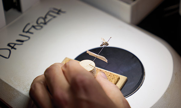 A hand holding a bee specimen on a pin