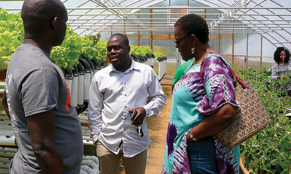 Hydroponics system demonstration at Firebird Farm