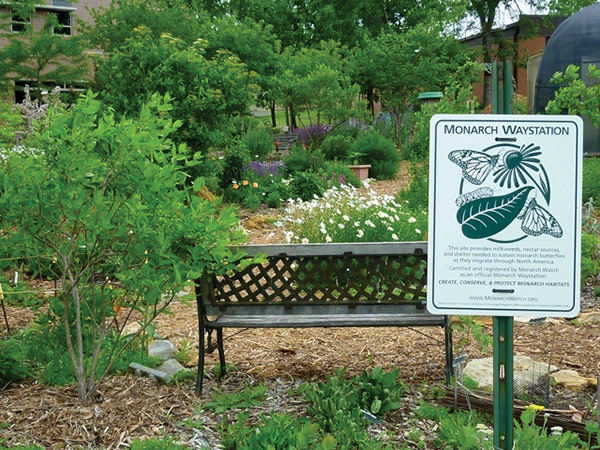 Monarch waystation