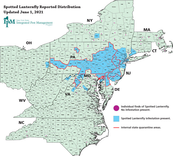 Spotted lanternfly distribution map