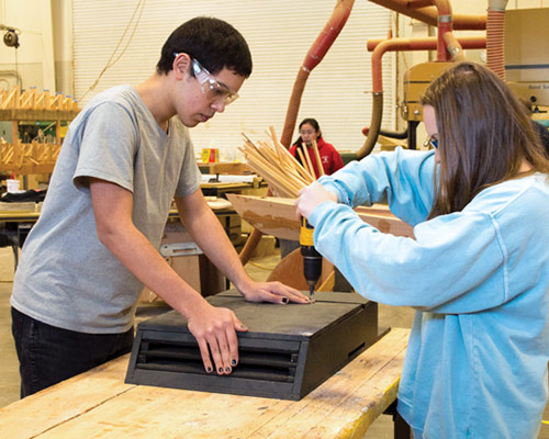 Building a bat house.