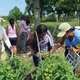 Expression "New Entry Farmers" Includes Students, Too