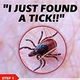 TickSmart "I just found a tick" Cards